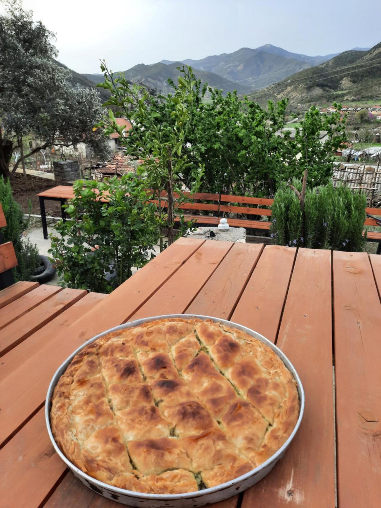 Bujtina Lugina E Vjoses Lodge